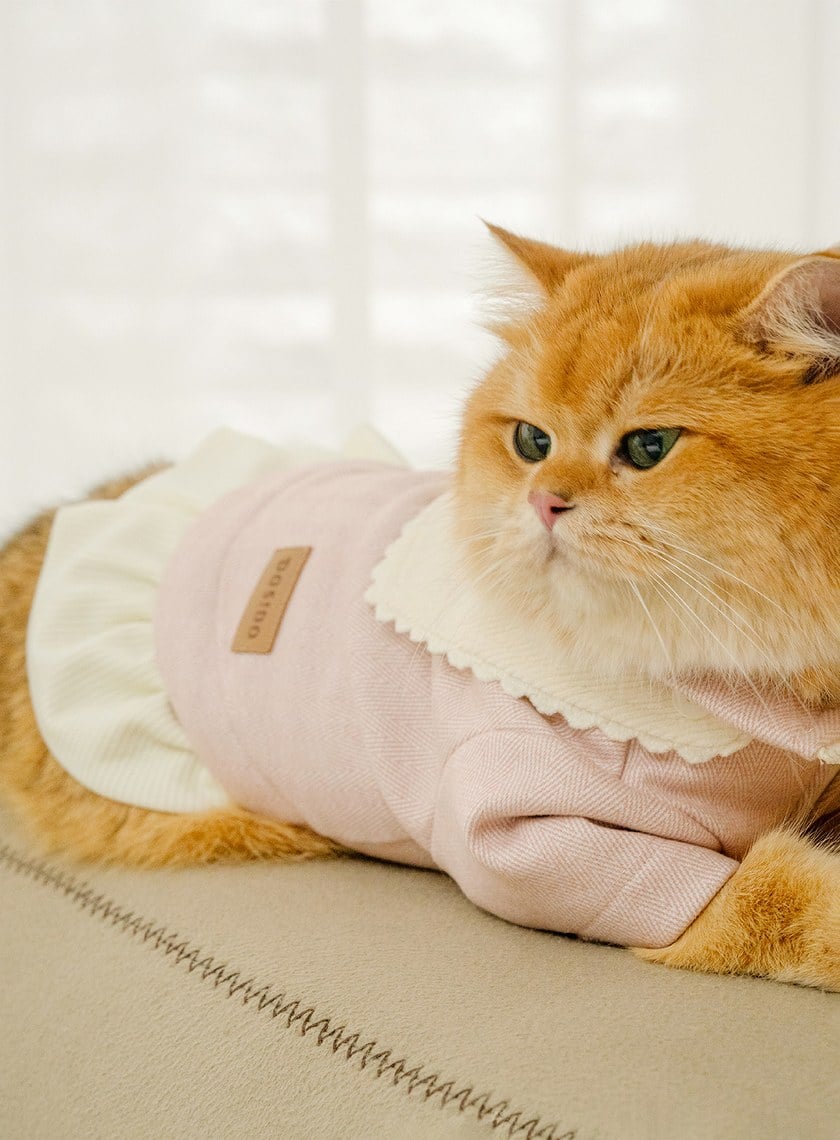 DOSIDO_海軍領上衣裙