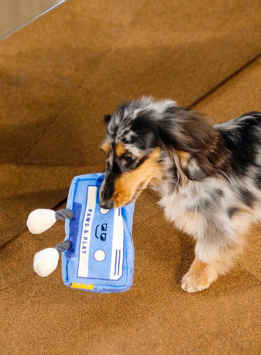 DOSIDO_回憶錄音帶