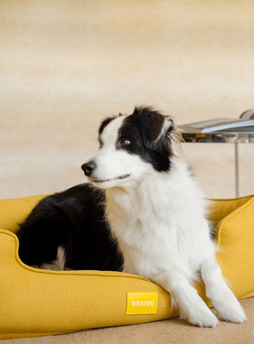 DOSIDO_夢境經典床