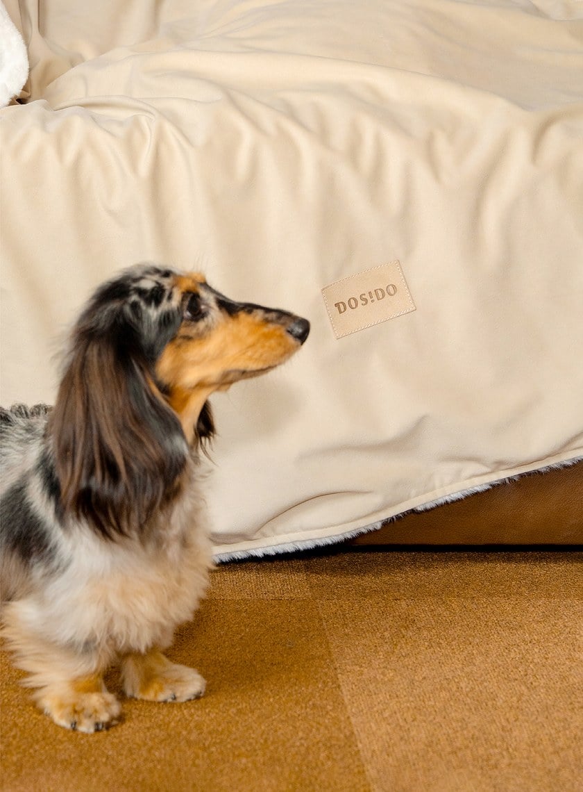 DOSIDO_夢語睡眠毯