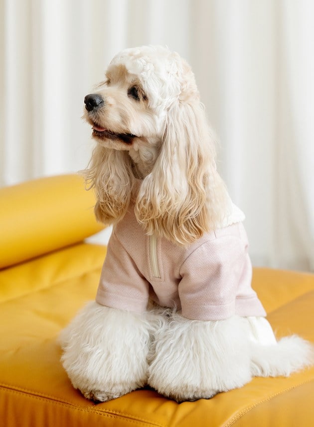 DOSIDO_海軍領上衣裙