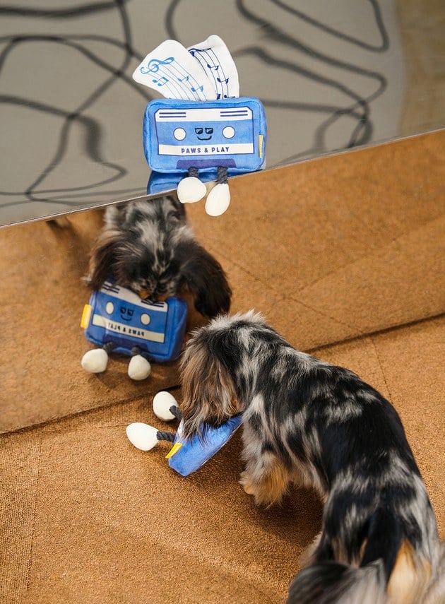 DOSIDO_回憶錄音帶