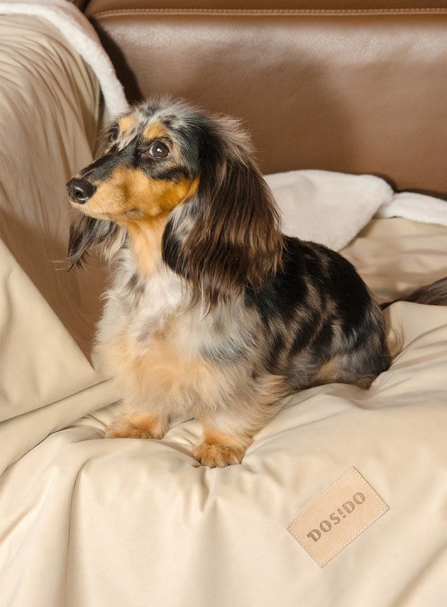 DOSIDO_夢語睡眠毯