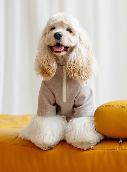 DOSIDO_海軍領上衣