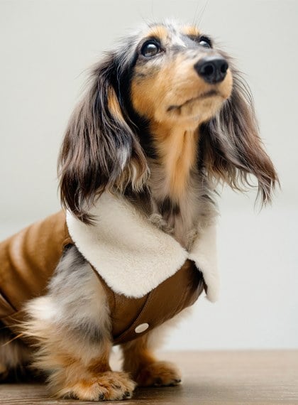 DOSIDO_毛領皮洋裝